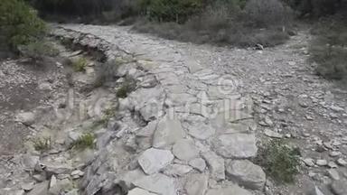 在圣皮埃特罗岛上的地中海植被中，第一个人在古老的铺路石遗迹上被射杀
